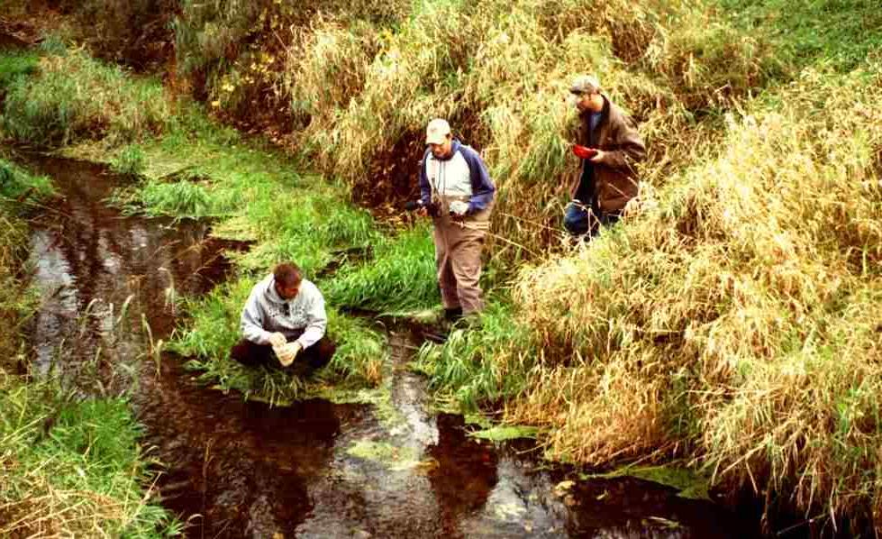 Water sampling - Pigeon River